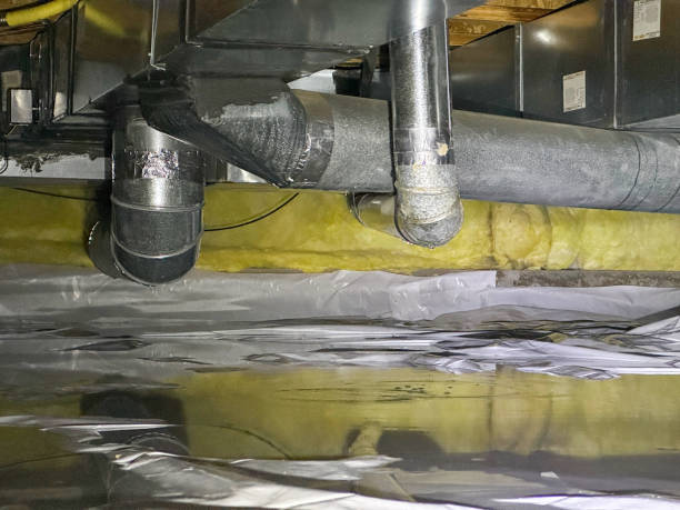 Best Local water damage restoration  in Pevely, MO
