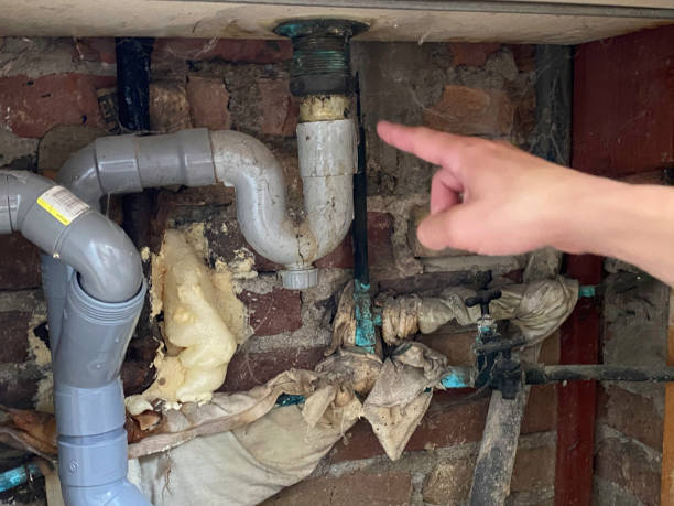 Best Flood damage cleanup  in Pevely, MO