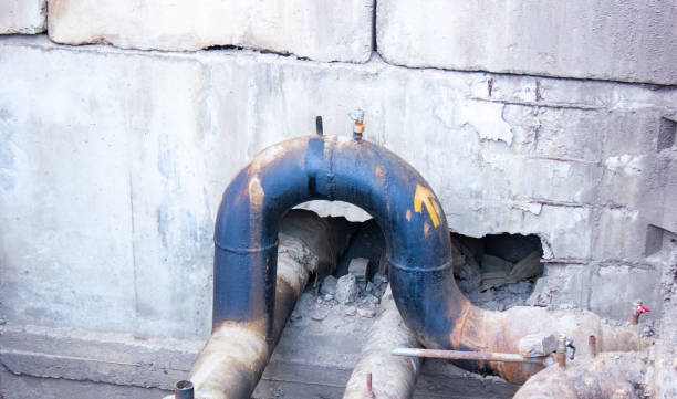 Best Basement water damage restoration  in Pevely, MO