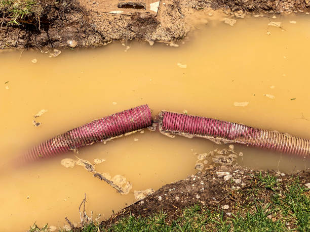 Best Flood damage cleanup  in Pevely, MO