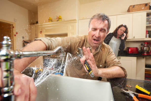 Best Professional water damage repair  in Pevely, MO